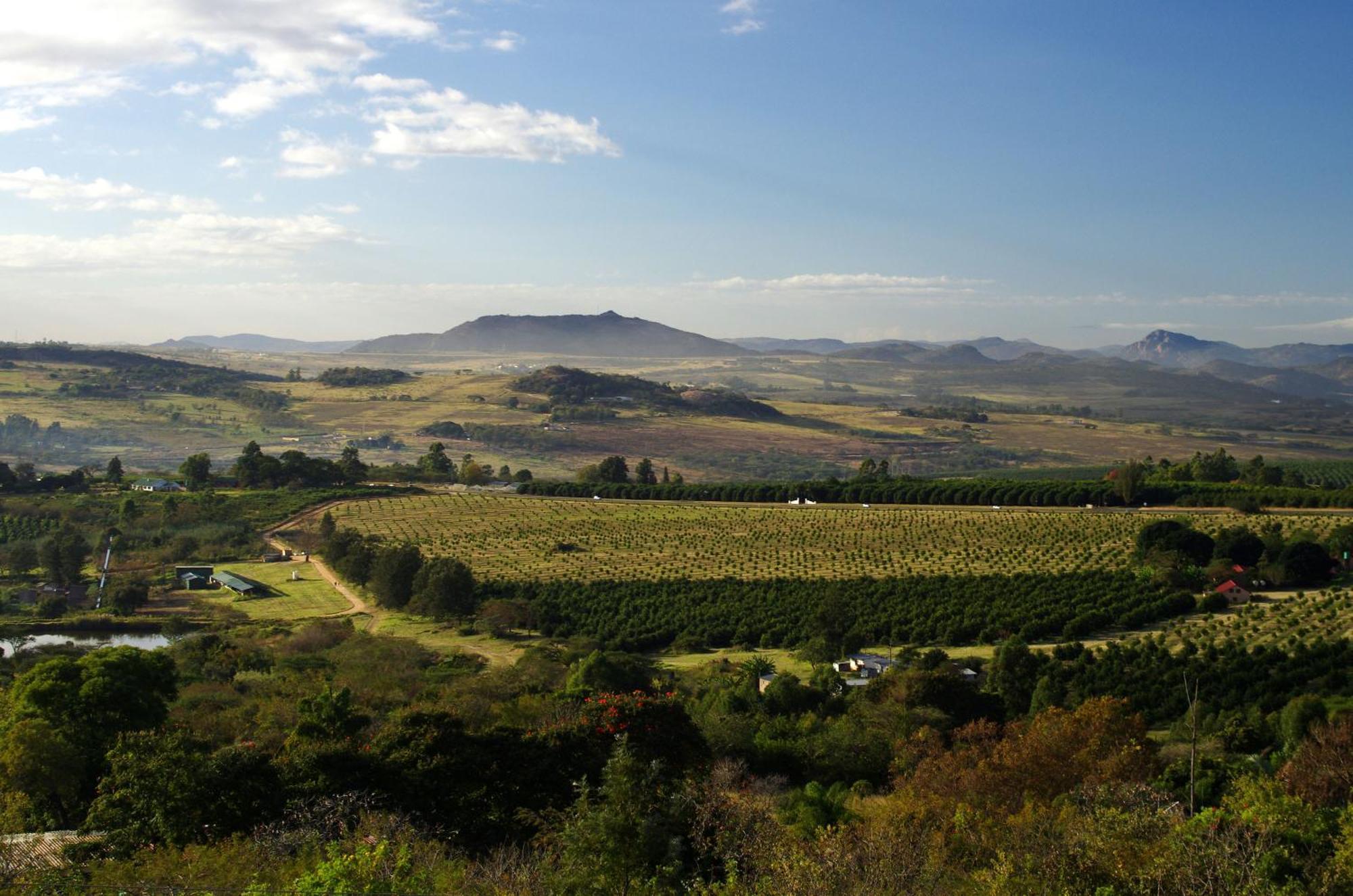 White House Lodge Witrivier Buitenkant foto